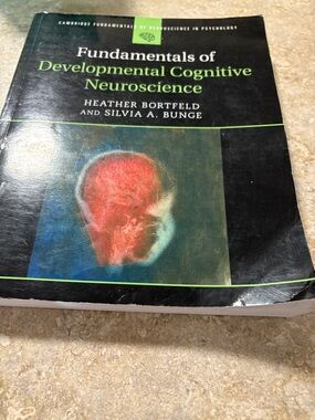 Fundamentals of developmental cognitive neuroscience textbook